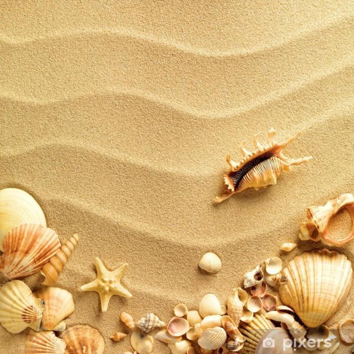 White Aurora Rooms Porto Cesareo Dış mekan fotoğraf